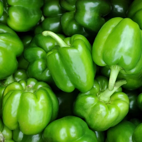 Green pepper