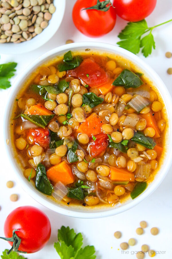 LENTIL